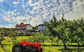 Agriturismo 30